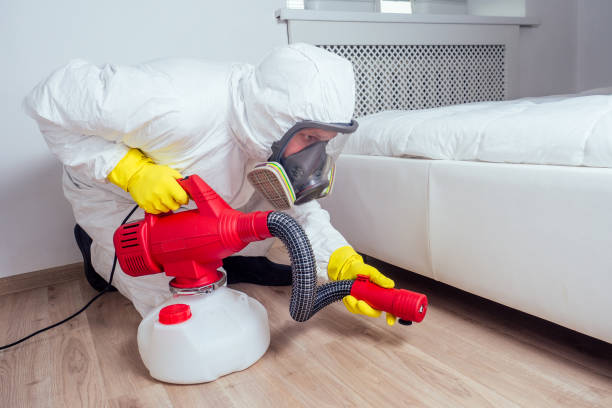 Best Best Pest Control Companies  in Pine Hills, FL