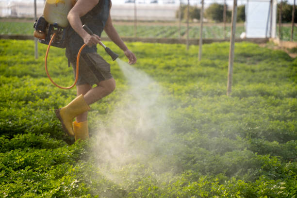 Best Local Pest Control Services  in Pine Hills, FL