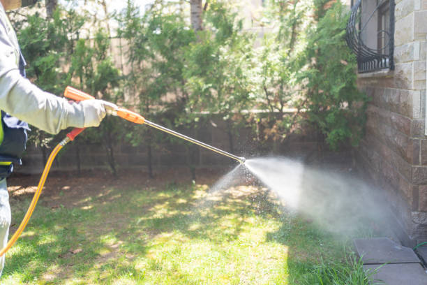 Best Termite Control Services  in Pine Hills, FL